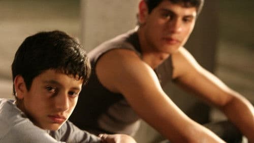 ציון ואחיו Bild 5