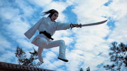 Das Schwert des gelben Tigers Bild 5