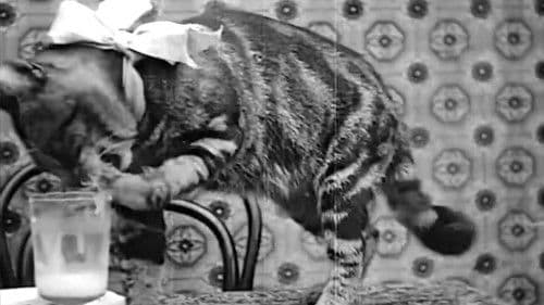 Le Déjeuner de Minet Bild 2