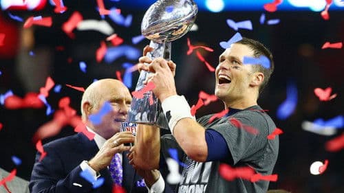 Super Bowl LI Champions: New England Patriots Bild 2