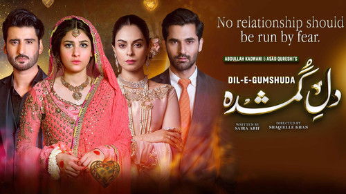 Dil e Gumshuda Bild 1