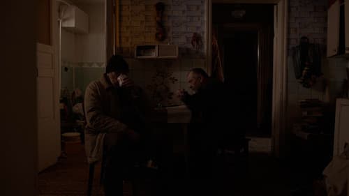 Сірі бджоли Bild 8