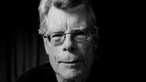 Stephen King – Das notwendige Böse Bild 2