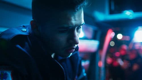 Midnight Family Bild 3