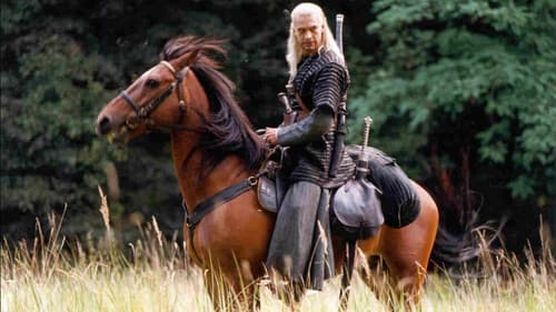 Geralt von Riva - Der Hexer Bild 2