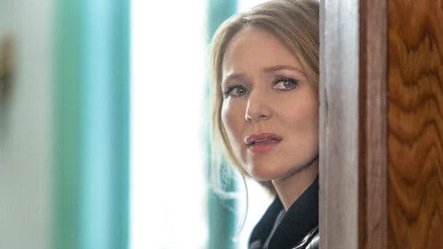 Concrete Evidence: A Fixer Upper Mystery Bild 2