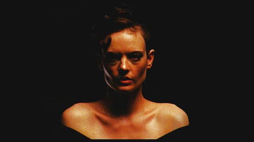 Black Eyed Susan Bild 1