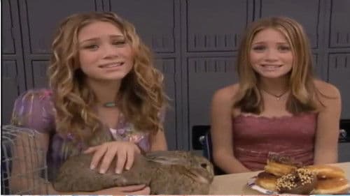 So Little Time Bild 3