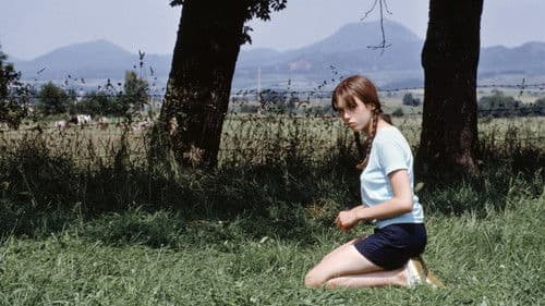 Blacky - Abenteuer eines Ausreißers Bild 1