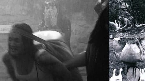 La gardeuse d'oies à la fontaine Bild 1