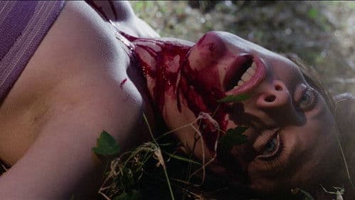 Violación Fatal Bild 2