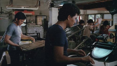 Bayan Ko - In meinem Land Bild 4