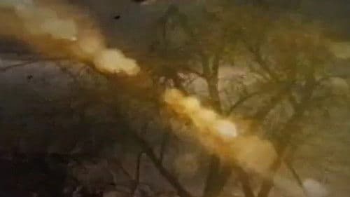 The Art of Vision Bild 3