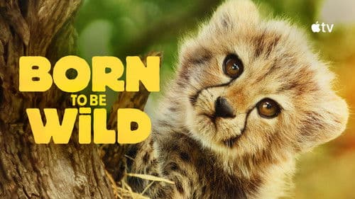 Für die Wildnis geboren Bild 4