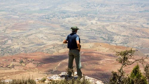 If Only I Were That Warrior Bild 1