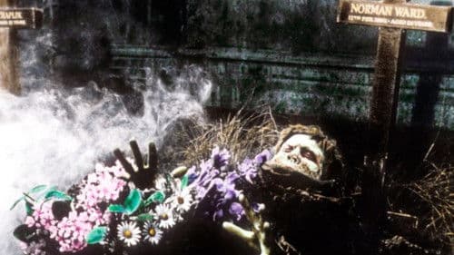 Nächte des Grauens Bild 3