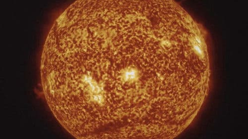 DARI ALAM SELARI Bild 1