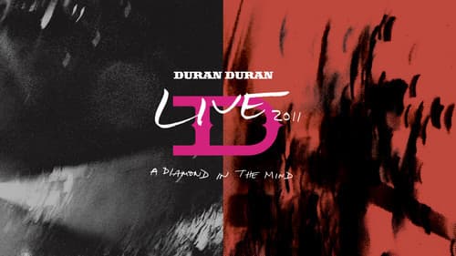 Duran Duran: A Diamond In The Mind - Live 2011 Bild 3