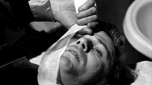 Jagd nach Millionen Bild 3