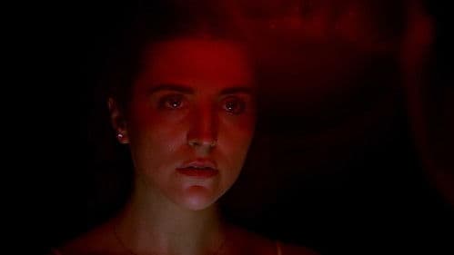 Call The Sandman Bild 2