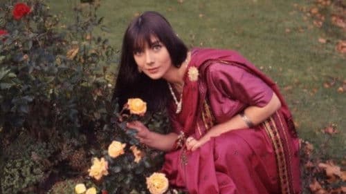 Das schwarze Reptil Bild 7