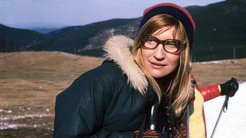 Zwischenbilanz Bild 5