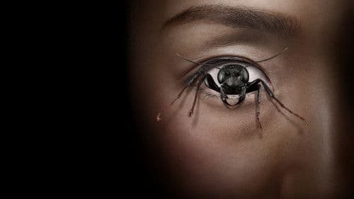 Control Freak Bild 2