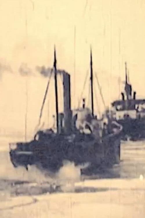 Ledlauzis Krišjānis Valdemārs