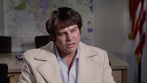 Ein Mann nimmt Rache Bild 4