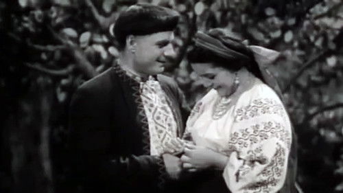 Мартин Боруля Bild 2