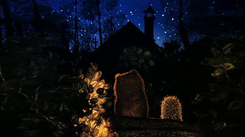 Der Igel im Nebel Bild 1