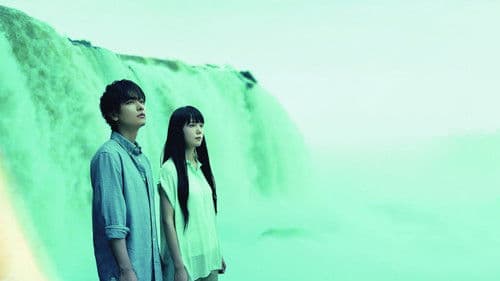 世界から猫が消えたなら Bild 6