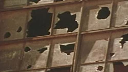 Destruction: Fun or Dumb? Bild 1