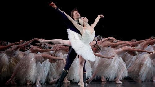Tchaikovsky - Swan Lake Bild 1