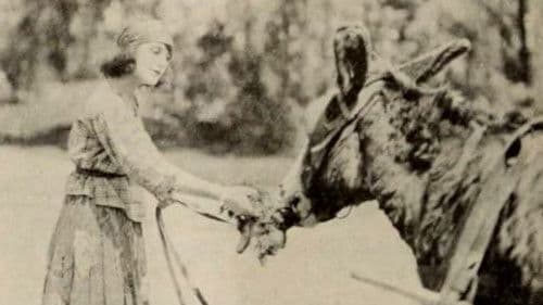 The Only Road Bild 1