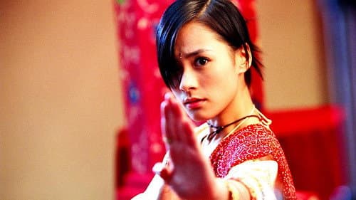 House of Fury Bild 1