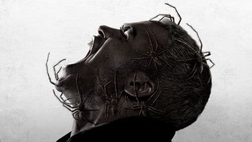 Spiders - Ihr Biss ist der Tod Bild 3