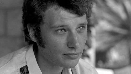 Johnny made in France Bild 1