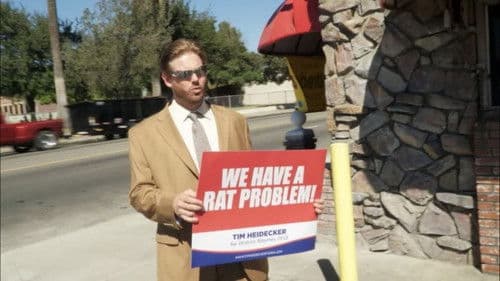 Mister America Bild 3