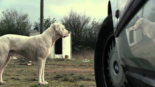 La BM du Seigneur Bild 1