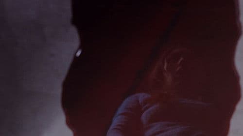 The Moon, The Bat, The Monster Bild 1