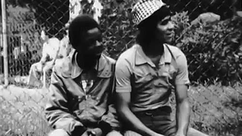 O Tigre e a Gazela Bild 2