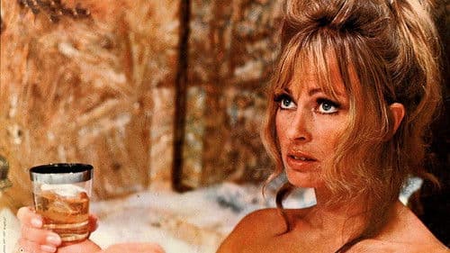 McGee, der Tiger Bild 4