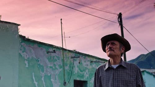 Parece que va a nevar Bild 6