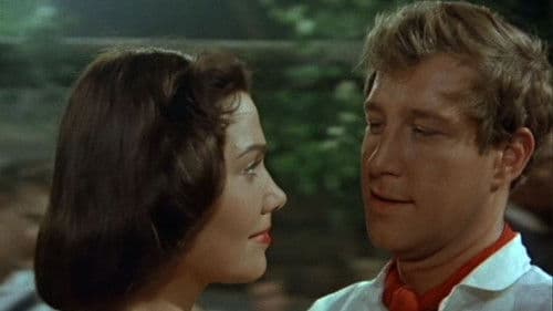 Und ewig singen die Wälder Bild 6