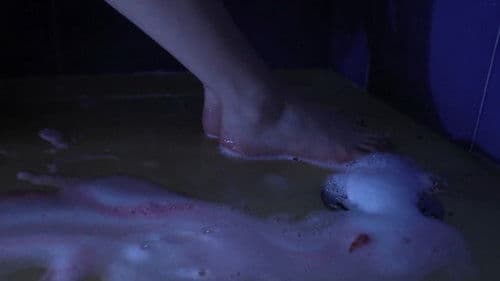 Esto Es Lo Que Nos Hace Mujeres Bild 2