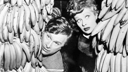 Seine Frau hilft Geld verdienen Bild 1