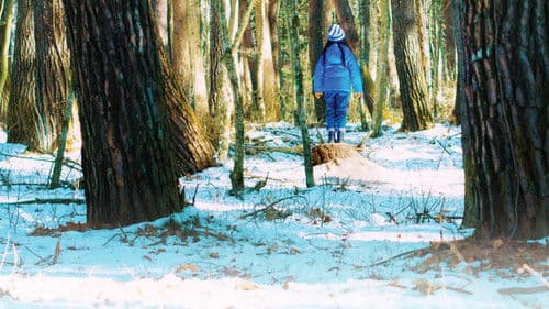 Evil Does Not Exist Bild 5