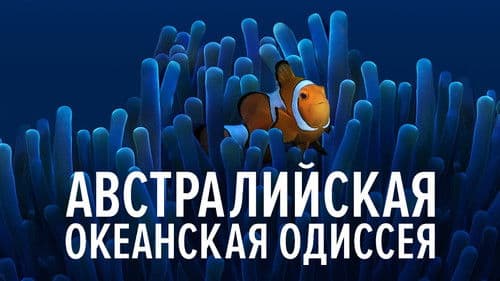 Australien - Im Sog des Ostaustralstroms Bild 3