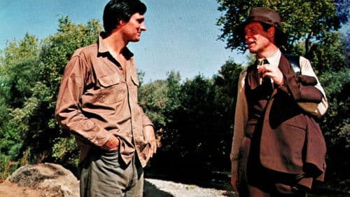 Whisky brutal Bild 6